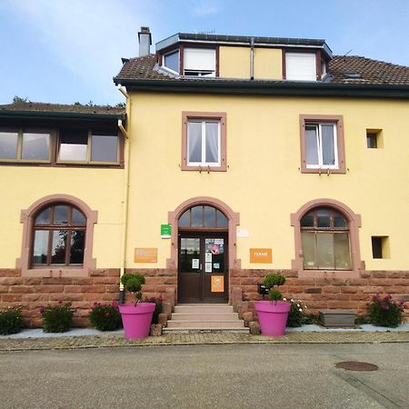 Camping Les Lupins Seppois-le-Bas Exterior photo