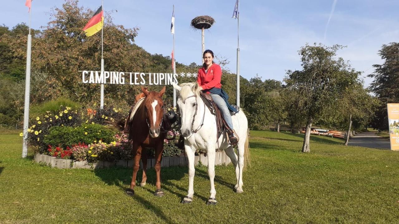 Camping Les Lupins Seppois-le-Bas Exterior photo